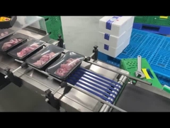 Etichettatrice piana automatica